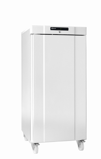 COMPACT K 310 LG C 4W - Refrigerator